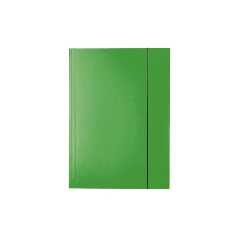Teczka lakierowana z gumką, A4, zielony Esselte