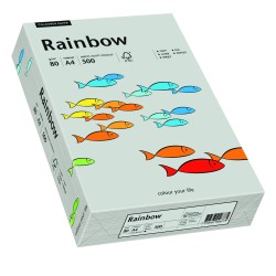 Papier Ksero kolorowy Rainbow szary 96