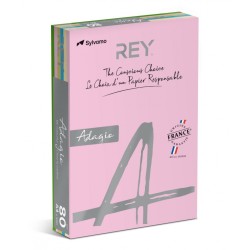 Papier Ksero REY ADAGIO, A4, 80gsm, mix kolorów pastel, *RYADA080X905 R200, 5x100 ark.
