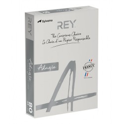 Papier Ksero REY ADAGIO, A4, 80gsm, 06 szary vive/bright *RYADA080X409 R100